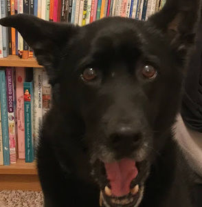 Meet your Posher, Candace